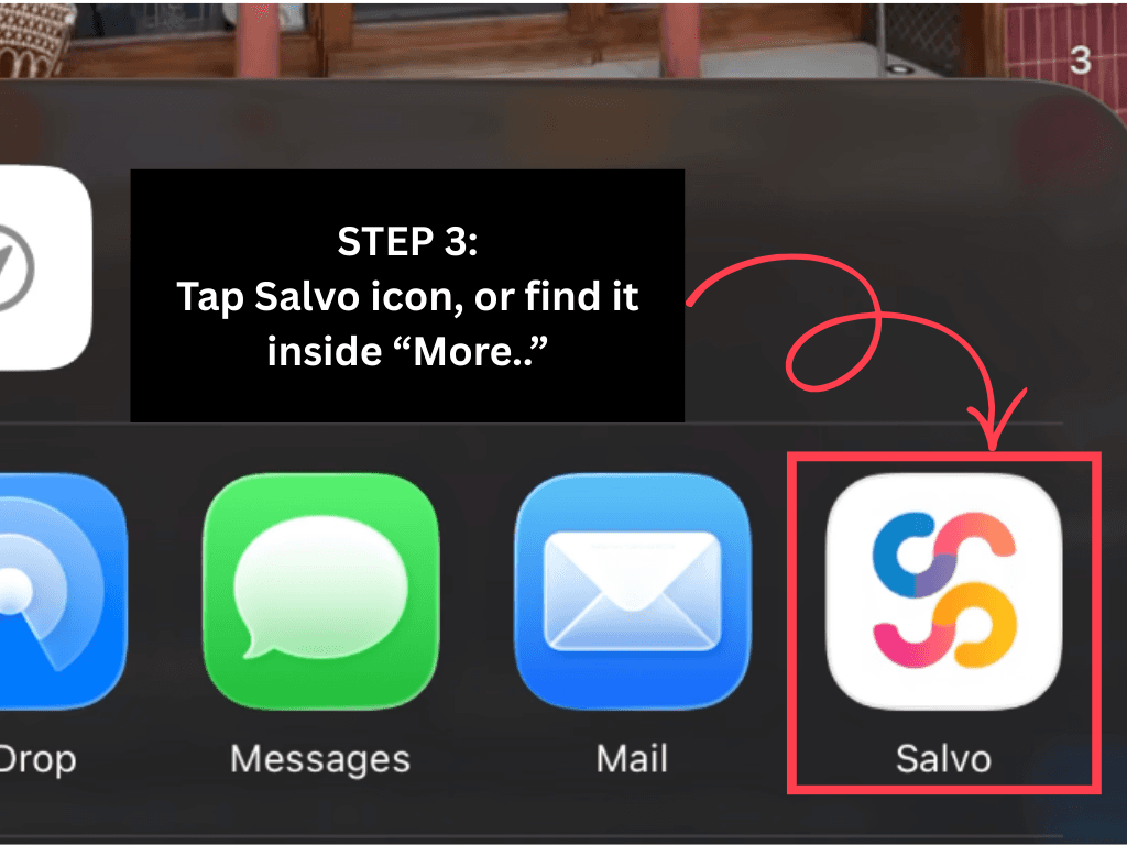 Choose the Salvo icon